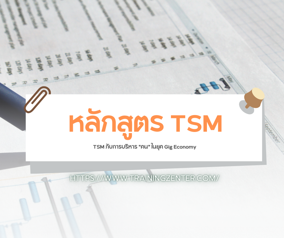 TSM กับการบริหาร "คน" ในยุค Gig Economy: ความท้าทายใหม่ของความปลอดภัย