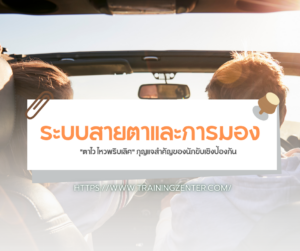 ระบบสายตาและการมอง (Scanning & Hazard Detection): "ตาไว ไหวพริบเลิศ" กุญแจสำคัญของนักขับเชิงป้องกัน