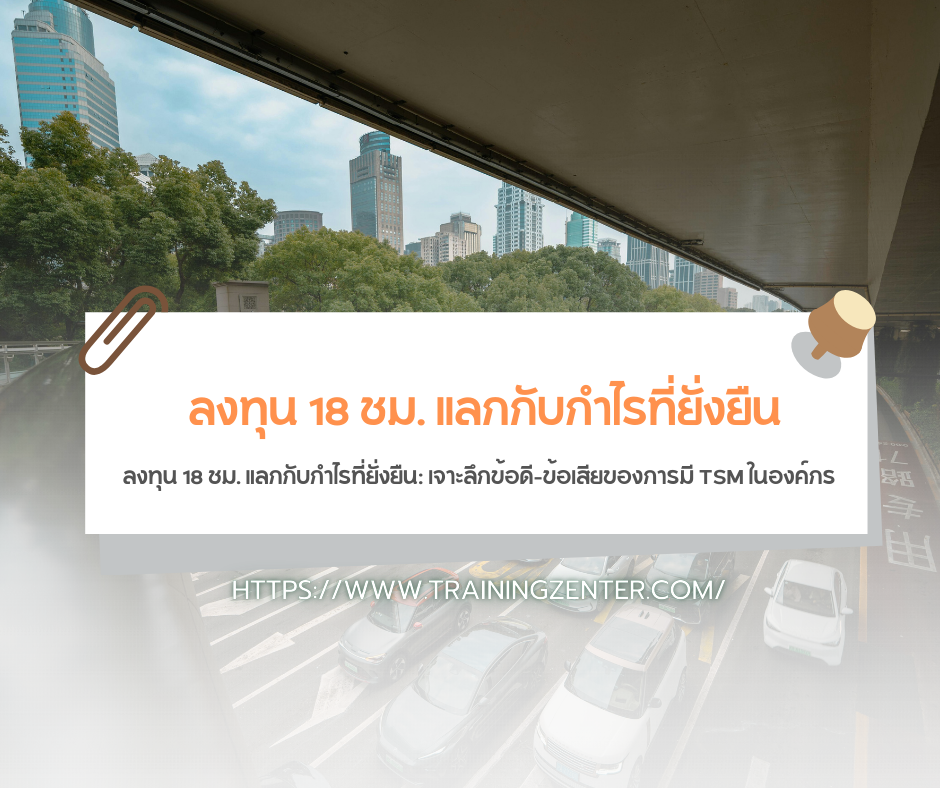 ลงทุน 18 ชม. แลกกับกำไรที่ยั่งยืน: เจาะลึกข้อดี-ข้อเสียของการมี TSM ในองค์กร