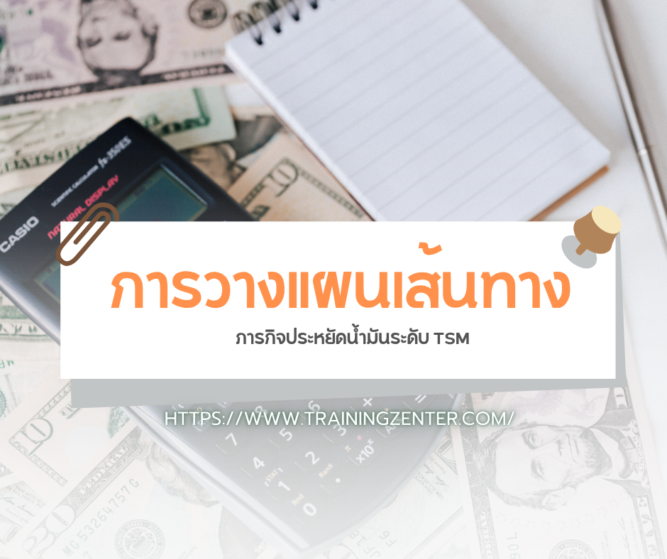 การวางแผนเส้นทาง (Route Planning): ภารกิจประหยัดน้ำมันระดับ TSM