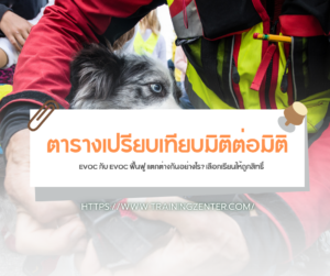 ตารางเปรียบเทียบมิติต่อมิติ: EVOC กับ EVOC ฟื้นฟู แตกต่างกันอย่างไร? เลือกเรียนให้ถูกสิทธิ์