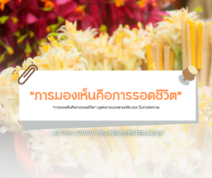 "การมองเห็นคือการรอดชีวิต" กฎแห่งการมองตามหลัก DDC ในช่วงเทศกาล