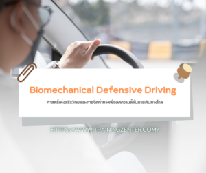 Biomechanical Defensive Driving: ศาสตร์แห่งสรีรวิทยาและการจัดท่าทางเพื่อลดความล้าในการเดินทางไกล