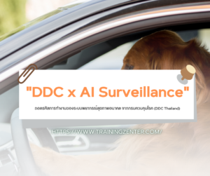 "DDC x AI Surveillance": ถอดรหัสการทำงานของระบบพยากรณ์สุขภาพอนาคต จากกรมควบคุมโรค (DDC Thailand)