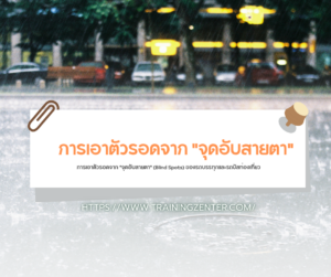 การเอาตัวรอดจาก "จุดอับสายตา" (Blind Spots) ของรถบรรทุกและรถบัสท่องเที่ยว