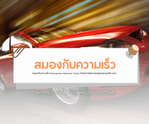 สมองกับความเร็ว (Perception-Reaction Time): วิทยาศาสตร์การหยุดรถตามหลัก DDC
