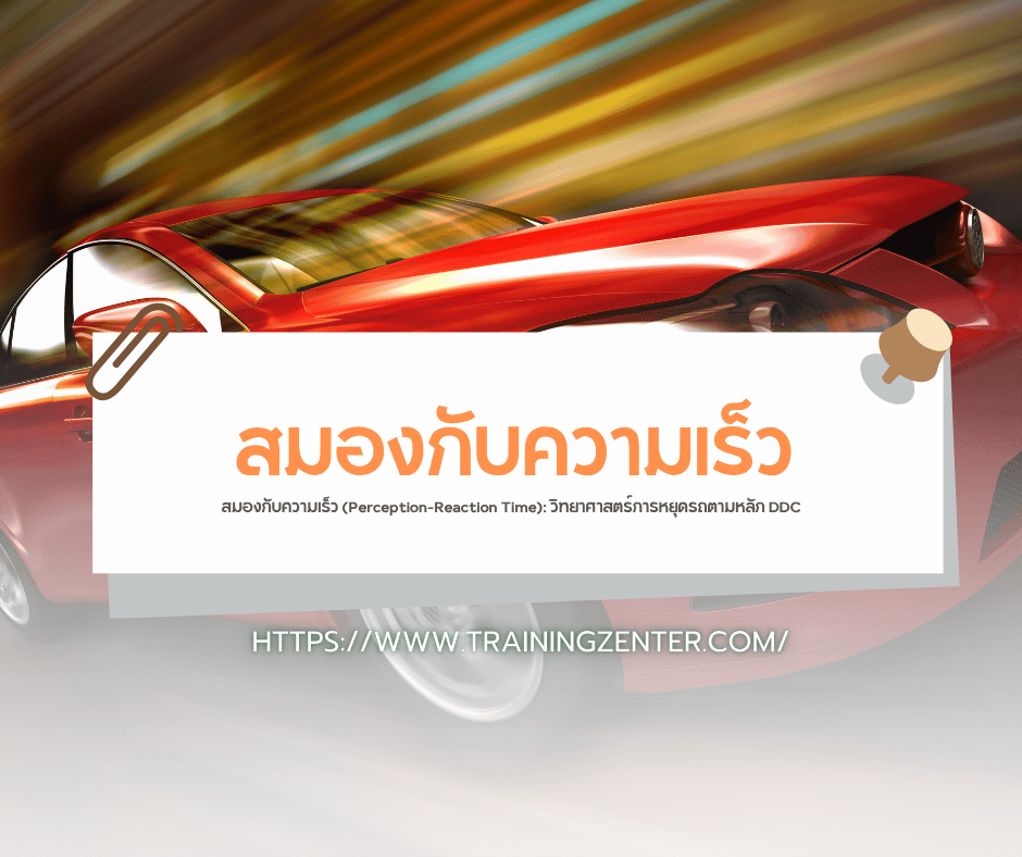 สมองกับความเร็ว (Perception-Reaction Time): วิทยาศาสตร์การหยุดรถตามหลัก DDC