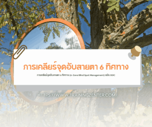 การเคลียร์จุดอับสายตา 6 ทิศทาง (6-Zone Blind Spot Management) ฉบับ DDC