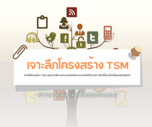 เจาะลึกโครงสร้าง TSM: บุคลากรจัดการความปลอดภัยการขนส่งมีกี่ประเภท? เลือกใช้แบบไหนให้ตรงสเปกธุรกิจ