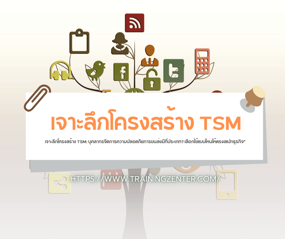 เจาะลึกโครงสร้าง TSM: บุคลากรจัดการความปลอดภัยการขนส่งมีกี่ประเภท? เลือกใช้แบบไหนให้ตรงสเปกธุรกิจ